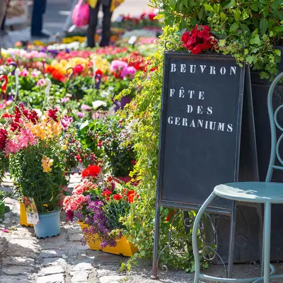 Profitez des fêtes de saison