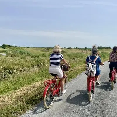 Explorer les marais à vélo