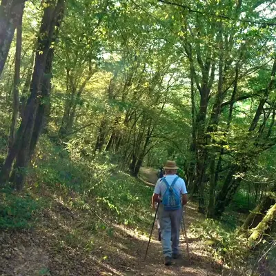 Se balader dans les gorges de la Voueize