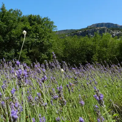 Eveiller ses sens à la Lavanderaie
