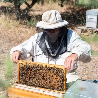 Faire honneur au terroir local