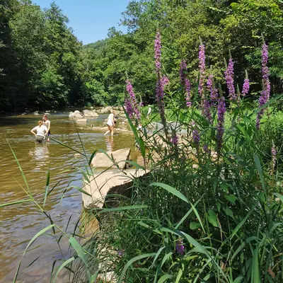 Pause fraîcheur au bord de l’eau
