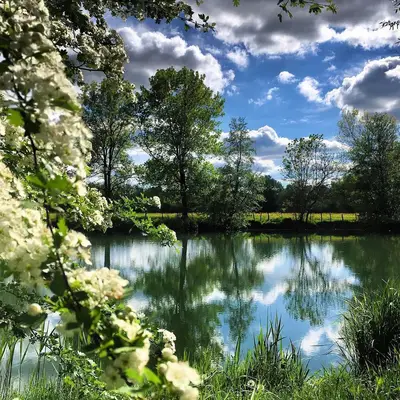 Faire une pause sur l’île de la Sauvageonne