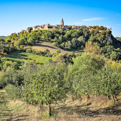 Celebrating the local terroir