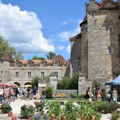 Célébrer le printemps et les fleurs