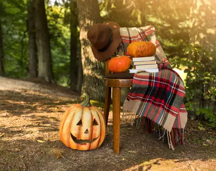 A gourmet autumn