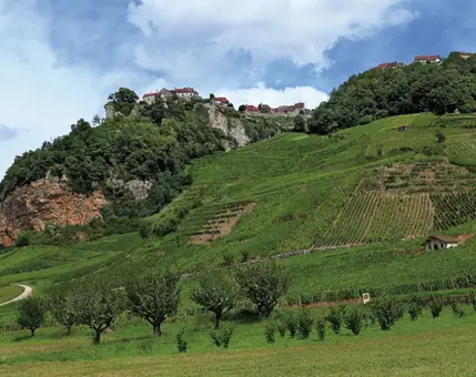 Accords vins & villages