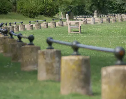 Organisation et fonctionnement