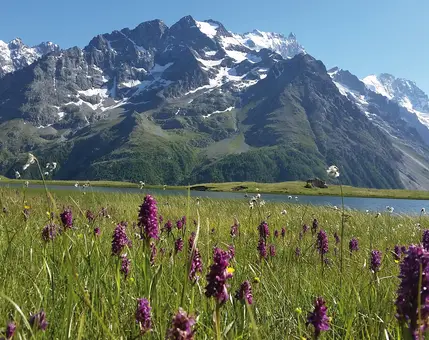 Parcs et réserves naturels