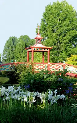 image-Fleurs et jardins