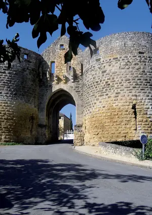 Les Plus Beaux Villages de France en congrès à Domme