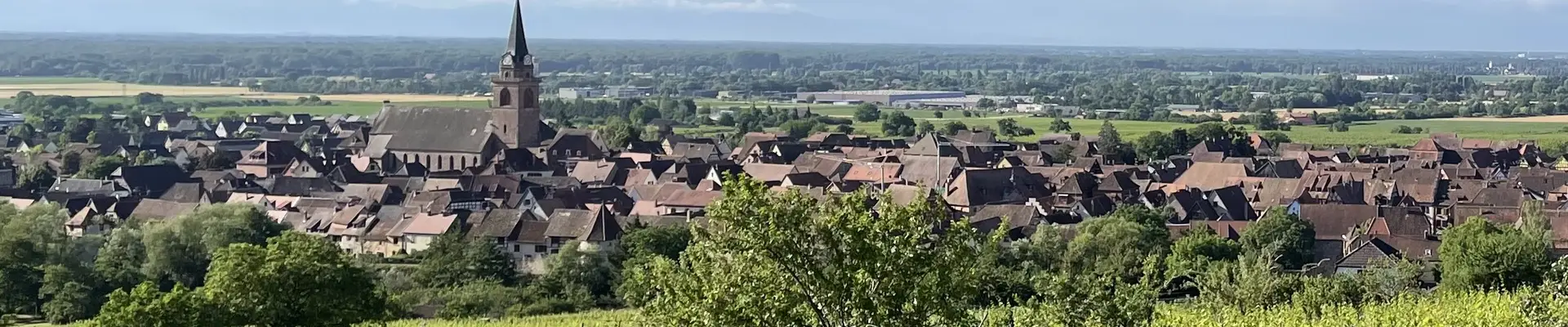Vignes Bergheim