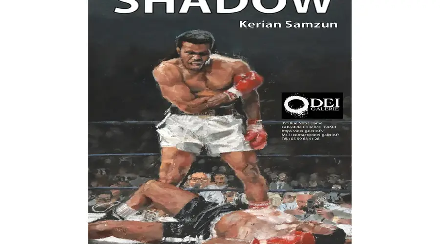 Exposition Shadow de Kerian Samzun