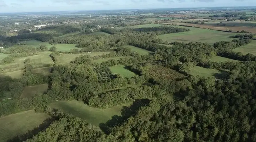Balade nature à Angles-sur-l'Anglin