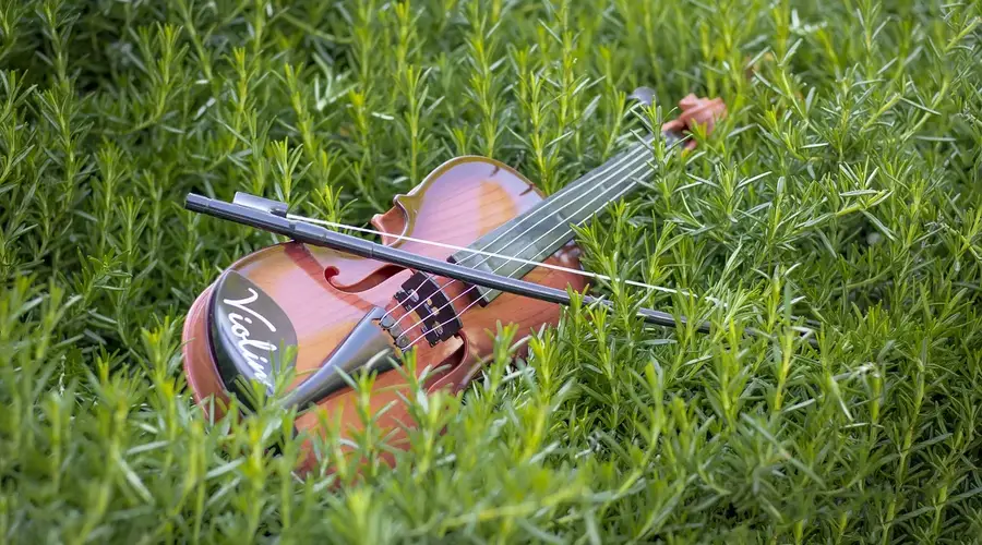 Les Amis de Ségur : Concert flûte - violon