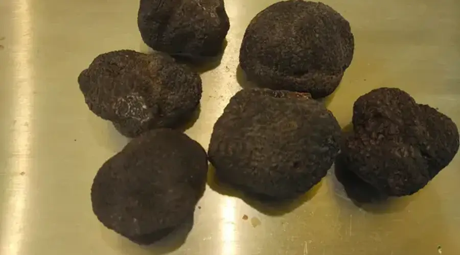 Marché de Noël et Fête de la Truffe