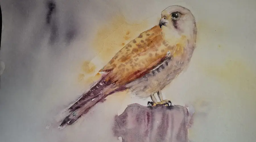 Exposition d'aquarelles de Marie Thérèse Lasserre