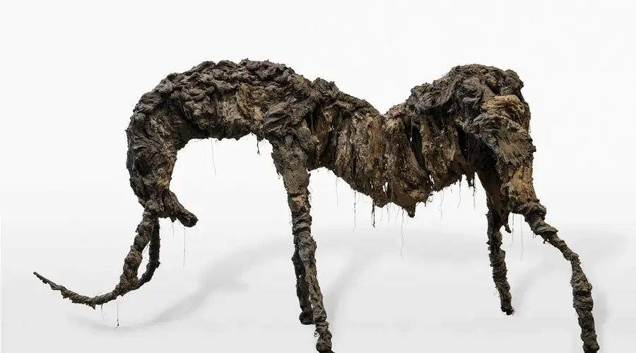 Exposition "Un désir souterrain" à la Maison Daura