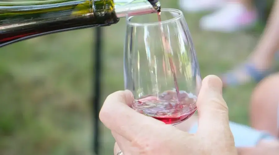 Vignes et patrimoine