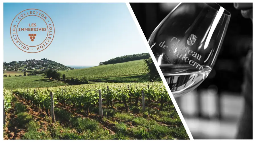 [Vignobles en scène!]: Dégustation verticale de notre cuvée historique: Regards sur l'empreinte des millésimes
