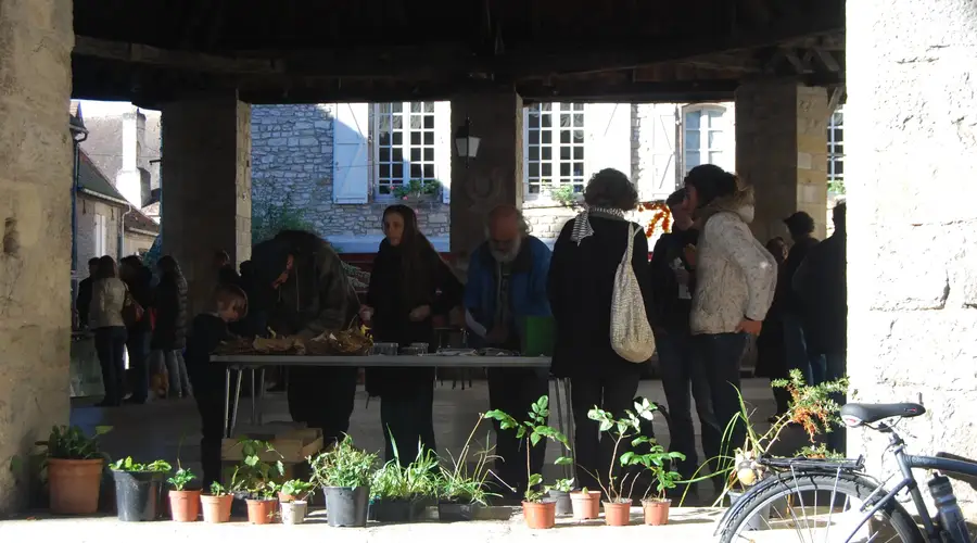 Autour de la botanique - Troc de plantes & balade botanique