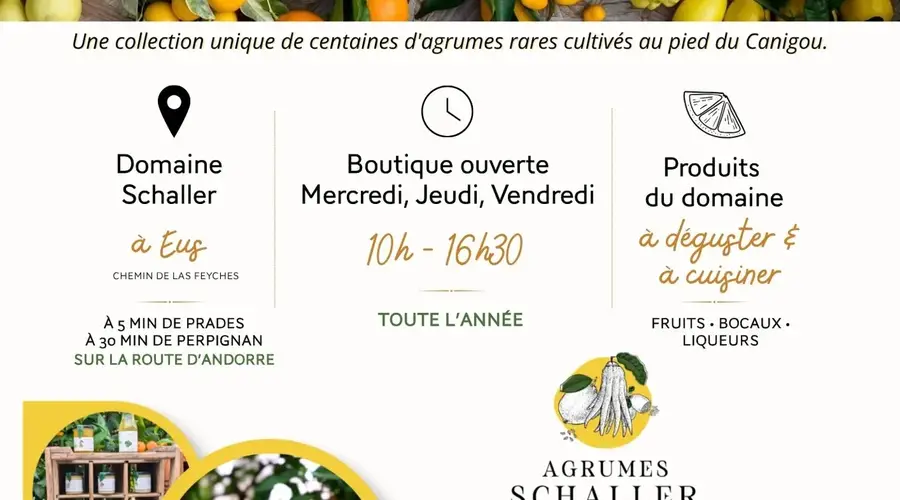 VISITE LES FRUITS D'AGRUMES RARES