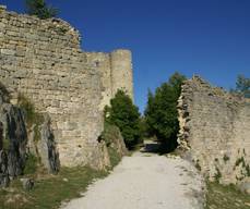 Site du château Sabran-de-Pontevès