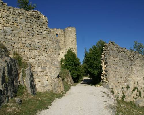 Site du château Sabran-de-Pontevès