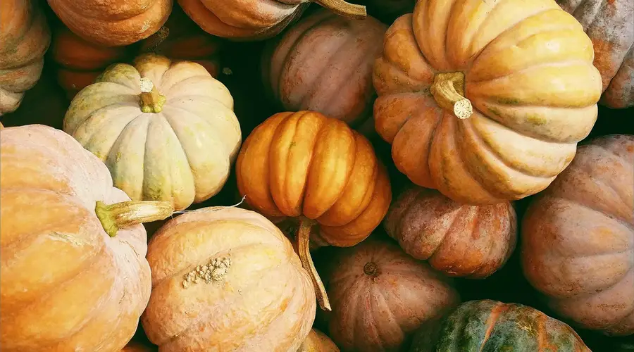 Foire d'automne  de Beaulieu-sur-Dordogne