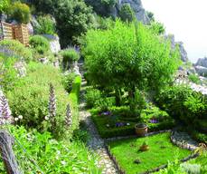 Site du château et jardin médiéval