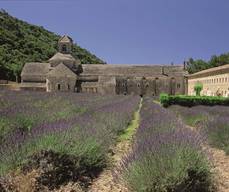 Abbaye de Sénanque