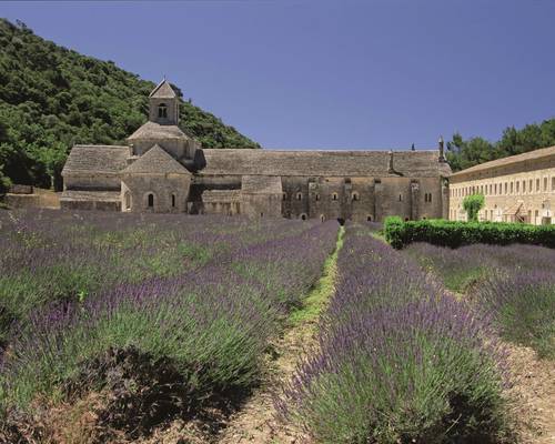 Abbaye de Sénanque