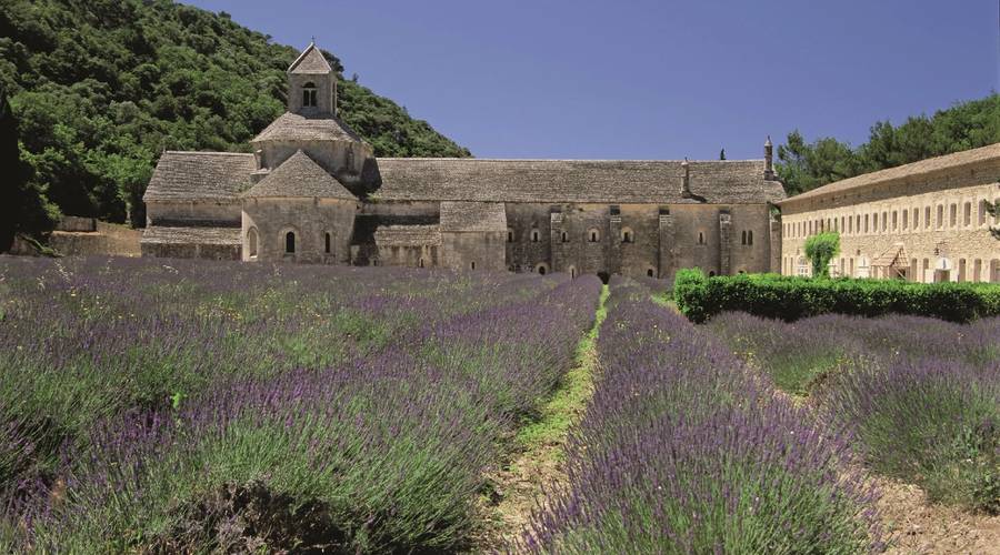 Abbaye de Sénanque