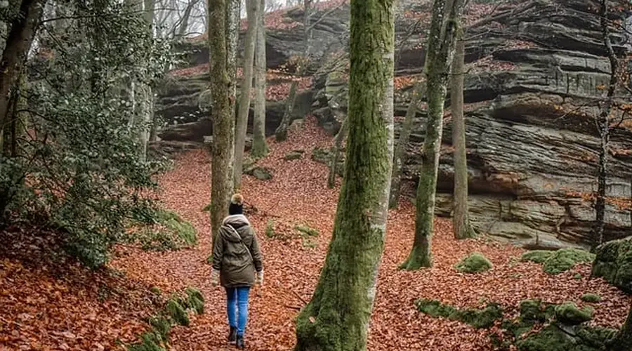 Randonnée CAP Chambon - Toulx ste Croix - 8 km