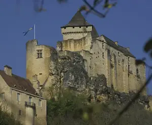 image de l'activité Château de Castelnaud