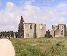 Vestiges de l'abbaye cistercienne des Châteliers