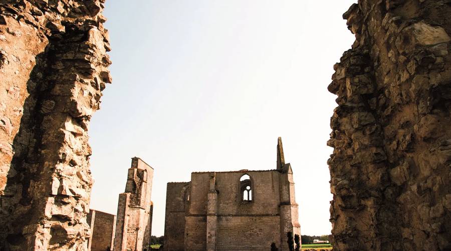 Vestiges de l'abbaye cistercienne des Châteliers