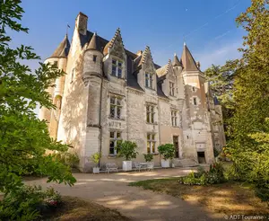 image de l'activité Château de Montrésor