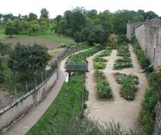 Jardin médiéval