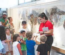 Muséum de l'Ardèche - Fossiles et Dinosaures