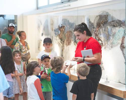 Muséum de l'Ardèche - Fossiles et Dinosaures