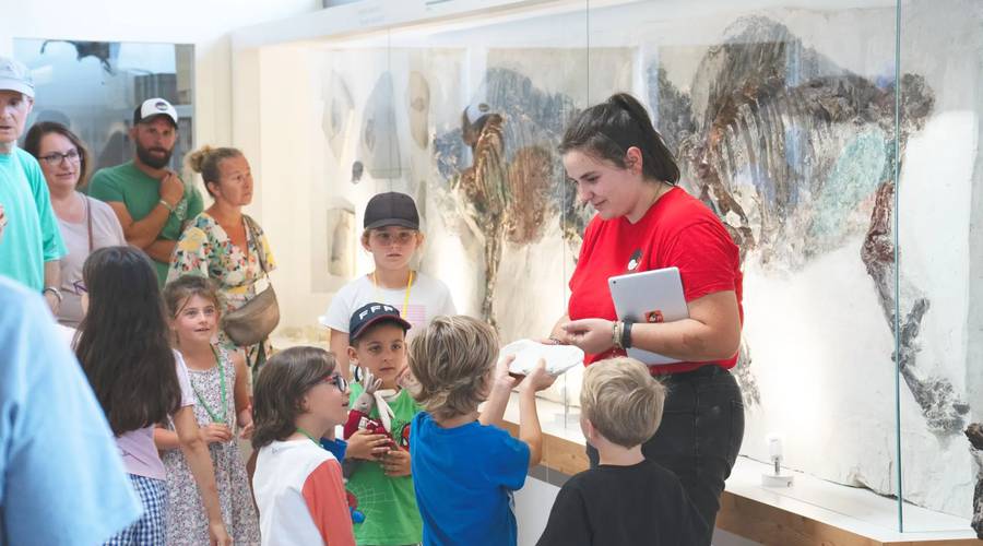 Muséum de l'Ardèche - Fossiles et Dinosaures