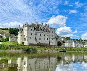 image de l'activité Château de Montsoreau - Musée d'Art Contemporain