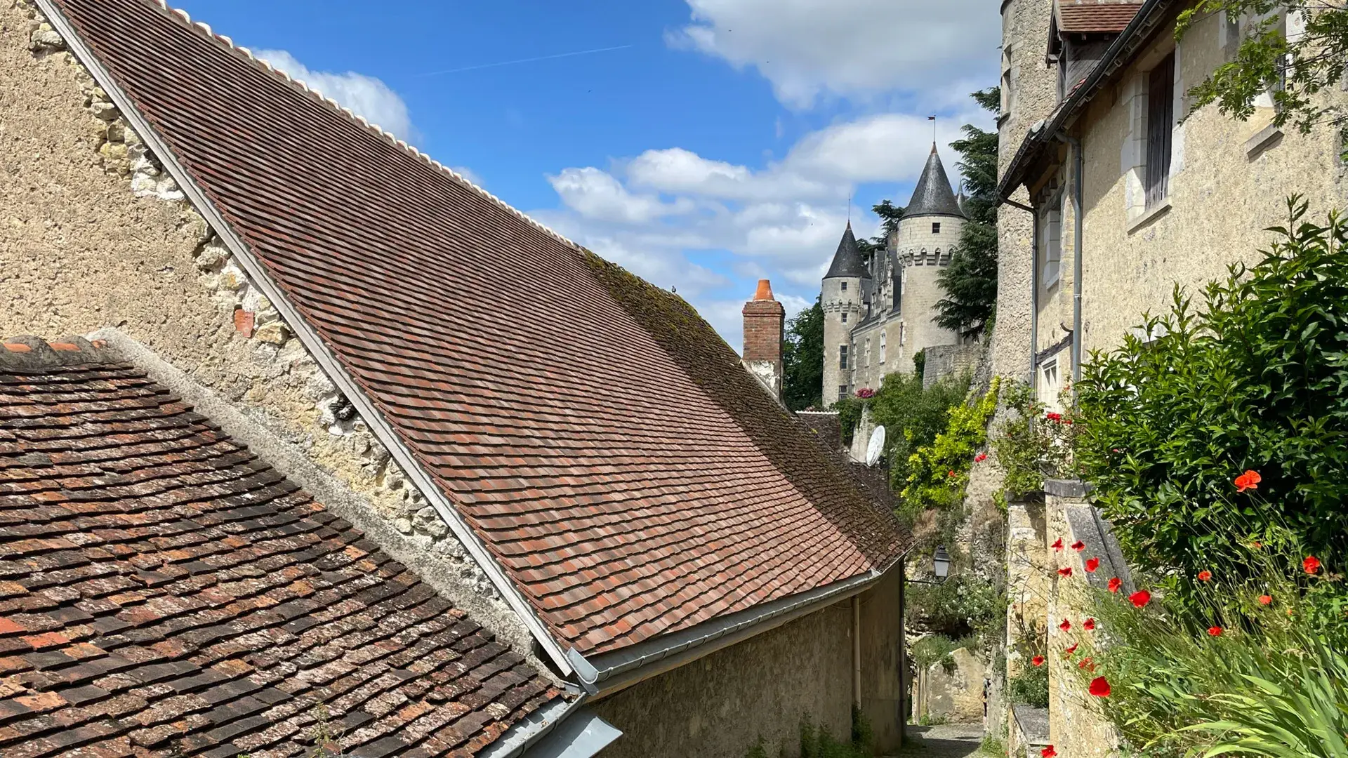 Montrésor, vue sur les toits et le château