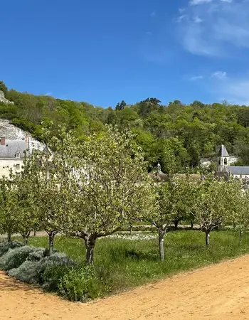 La Roche-Guyon image