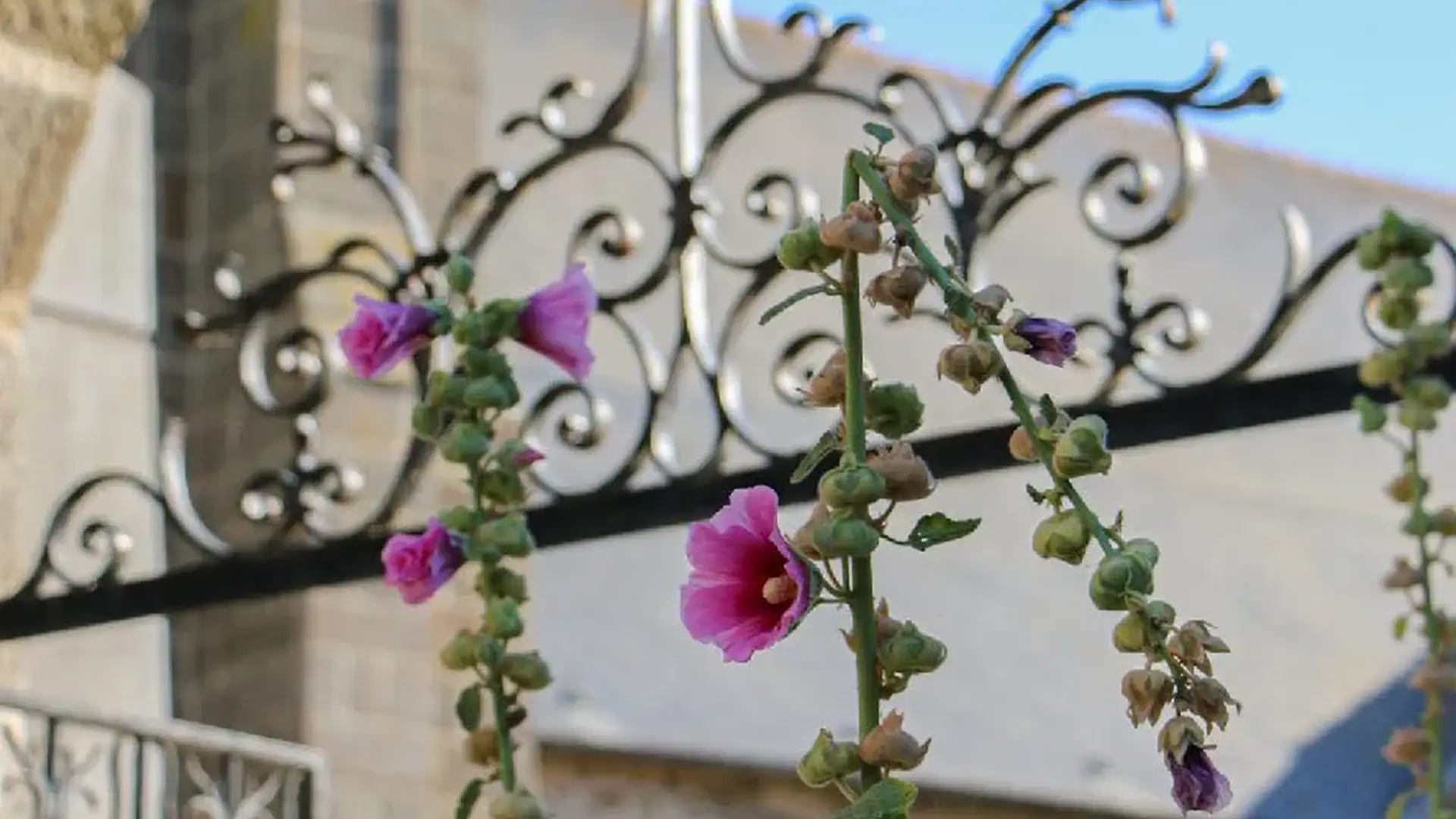 Saint-Suliac portail fleuri église