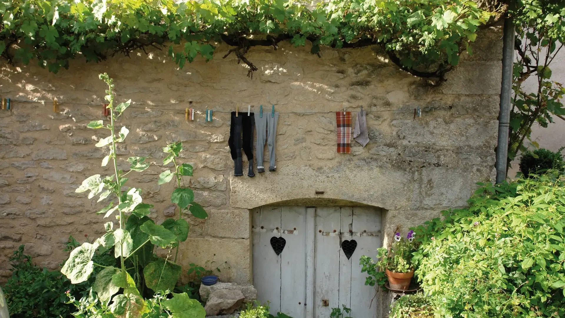 Flavigny-sur-Ozerain linge étendu