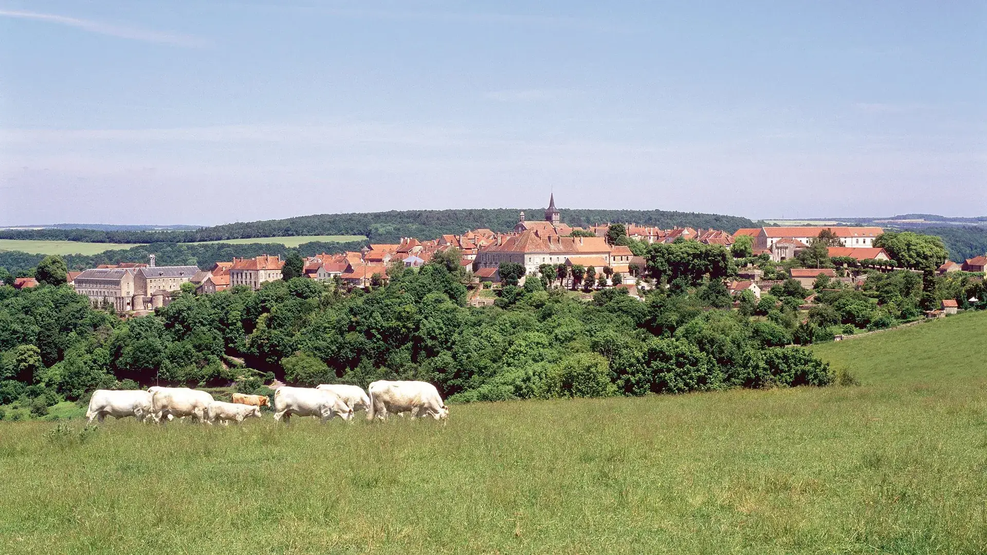 Flavigny-sur-Ozerain vue d'ensemble
