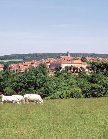 Flavigny-sur-Ozerain image