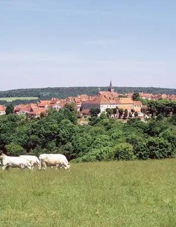 Flavigny-sur-Ozerain image